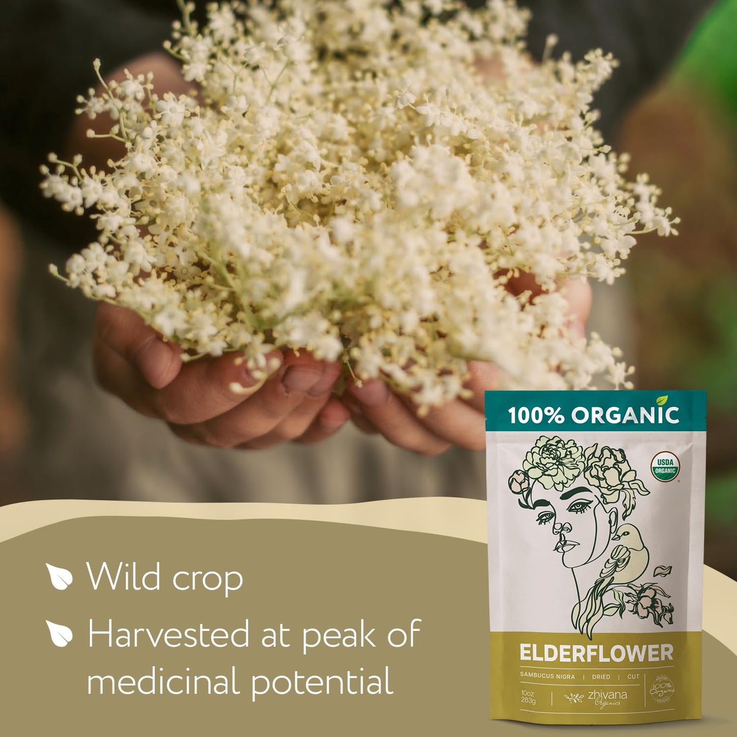 Super Value Pack 5 LB - Organic Elderflower Tea - Respiratory Health Tea, Immune Support - Allergy Relief