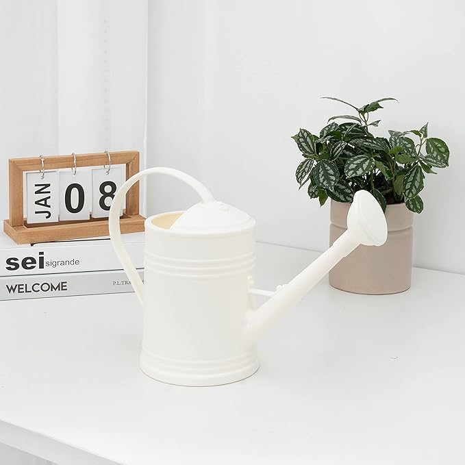 Plastic Indoor Watering Can with Sprinkler Head - 68 oz, 1/2 Gallon