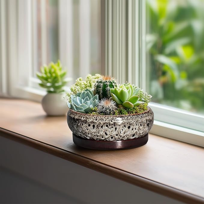 Succulent Planter 6 Inch - Ceramic Bonsai Pots with Drainage Hole and Tray, Shallow Plant Pot Indoor Outdoor, Cactus Succulent Pot, Round Bonsai Planter, Home Decor, Plant Lover Gift, White
