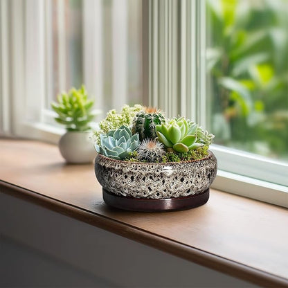 Succulent Planter 6 Inch - Ceramic Bonsai Pots with Drainage Hole and Tray, Shallow Plant Pot Indoor Outdoor, Cactus Succulent Pot, Round Bonsai Planter, Home Decor, Plant Lover Gift, White