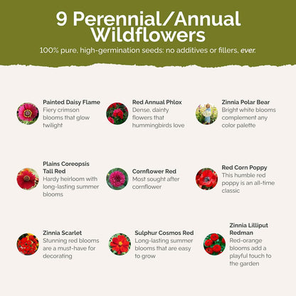 Eden Brothers Big Red Flower Mixed Seeds for Planting, 1/4 lb, 120,000+ Seeds with Painted Daisy Flame, Zinnia, Red Phlox | Attracts Pollinators, Plant in Spring or Fall, Zones 3, 4, 5, 6, 7, 8, 9, 10