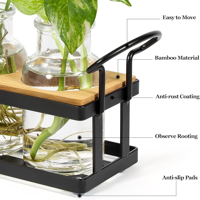 THYGIFTREE Plant Propagation Stations with Metal Stand, Tabletop Plant Terrarium for Propagating Hydroponic, Retro Glass Planter Flower Vase Home Kitchen Office Decor Gifts, 5 Jars