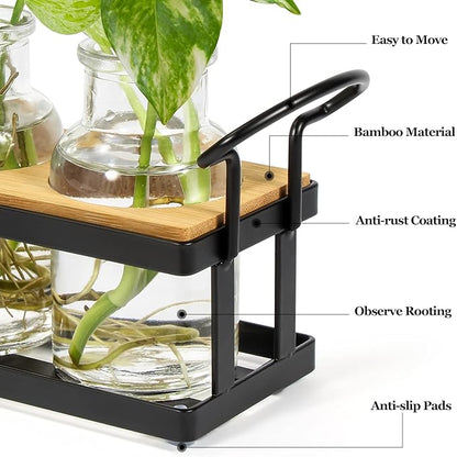 THYGIFTREE Plant Propagation Stations with Metal Stand, Tabletop Plant Terrarium for Propagating Hydroponic, Retro Glass Planter Flower Vase Home Kitchen Office Decor Gifts, 5 Jars