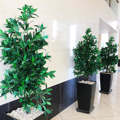 WAYNHUI Squared Plant Saucer 6/8/10/12/14/16/18/20inches Square Plastic Basin Tray Large/Small Water Receiving Tray (Black 10inch 5pack)