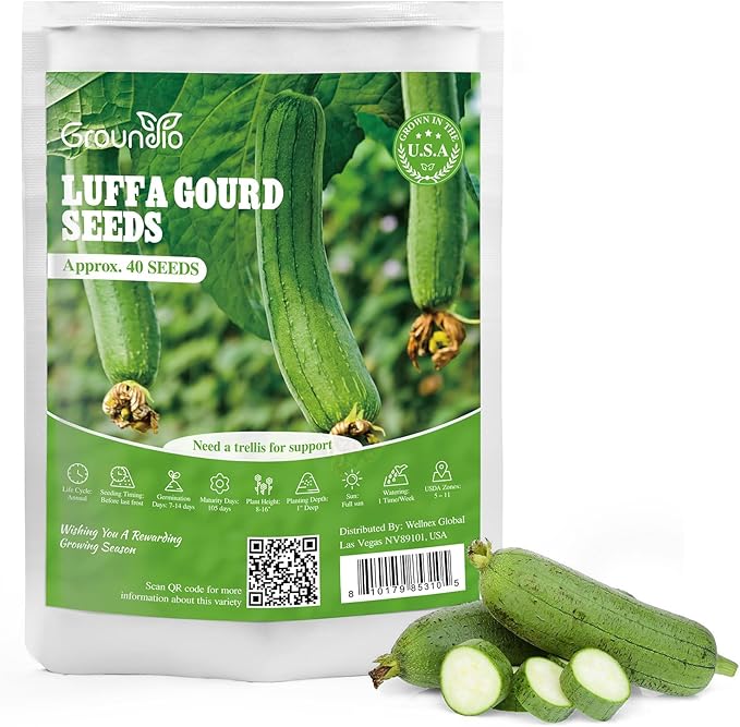 Luffa Gourd Seeds, 40 Non-GMO Heirloom Vegetable Seed, Planting for Outdoor Garden