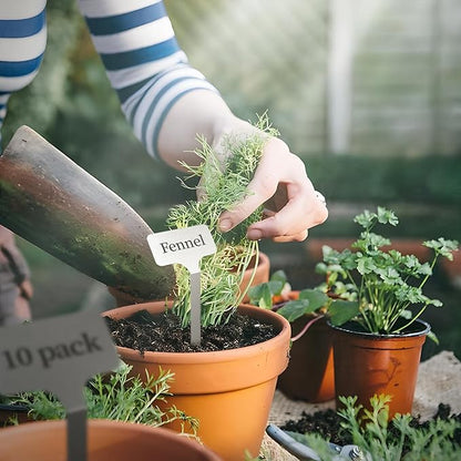 Stainless Steel Plant Labels,Metal Waterproof Plant Markers, Height 12.75 in, Label Area 2.5 in*1.25 in resuable Nursery Tags for Vegetables herb Flower Seed Green House 10-Pack