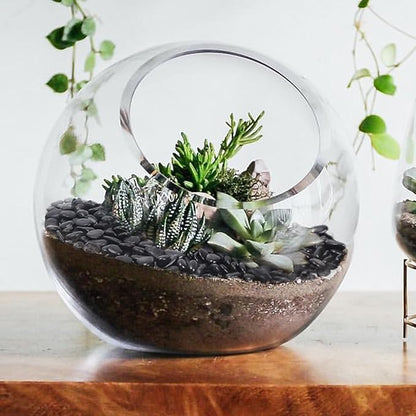 5LB Black Pebbles for Indoor Plants, Vases, Succulent, 3/8 Inch Small Black Rocks for Plants, Polished & Decorative