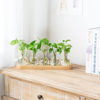 Mkono Desktop Plant Propagation Glass Vase Station Retro Terrarium with Wooden Tray Bulb Flower Container Perfect for Propagating Hydroponic Plants Home Office Decor Lover Gift Idea, Beige (YYBL0035)