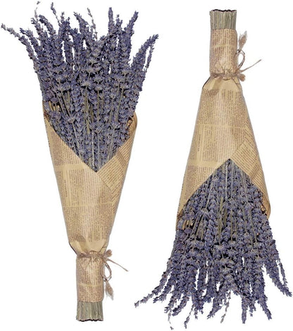 Cedar Space Lavender Dried Flowers 2 Bunches Dried Lavender Ideal Home Fragrance Products for Home Decorations, Wedding, Party, Photography & Flower Arrangements, Total Length 16 Inches