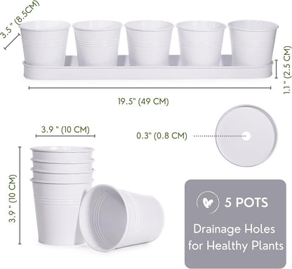 SCANDINORDICA White Herb Planter 5 Pots with Drainage Holes and Tray, Windowsill Planter, Indoor/Outdoor Herb Pots