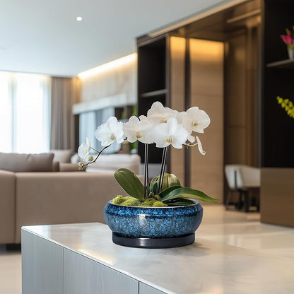 Bonsai Pots 8 Inch - Ceramic Succulent Planter for Indoor Outdoor, Round Bonsai Planter with Drainage Hole and Saucer, Shallow Ceramic Planters Bowl, Patio Decor, Housewarming Gift, Blue