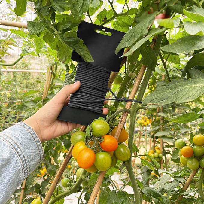 Tenn Well Garden Wire, 66 Feet 2.8mm Bendable Garden Plant Ties for Climbing Plants, Tomatoes, Climbing Roses, Trellises (2PCS X 33 Feet, Black)