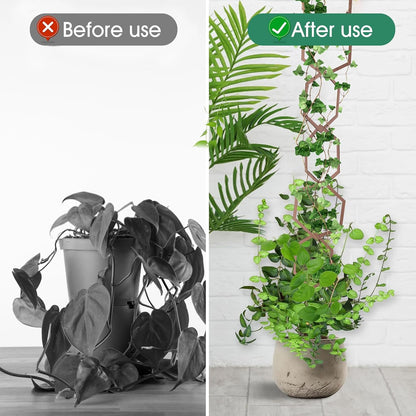 20pcs Chain Trellis for Climbing Plants, HSSZXFR DIY Plant Climber Support for Vines and Garden Wall Trellis, Indoor and Outdoor Accessories for Monstera Pothos Ivy Flower (Hexagonal)