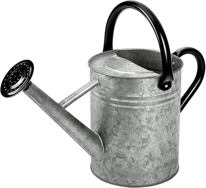 Metal Watering Can, One Gallon Watering Cans Stainless Steel for Outdoor Indoor Garden Plants Watering (Silver 1 Gallon)