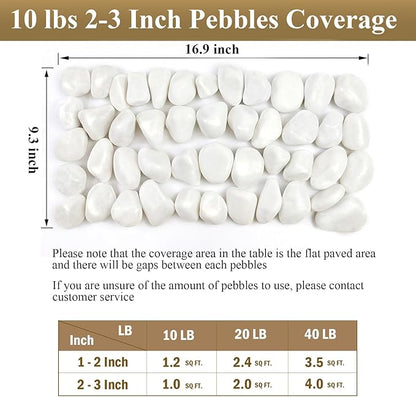 20 lbs White Rocks for Gardens, 2-3 Inch Decorative Pebbles for Plants Outdoor, White River Rocks for Landscaping Plants Backyard Aquarium Vase and Bird Bath