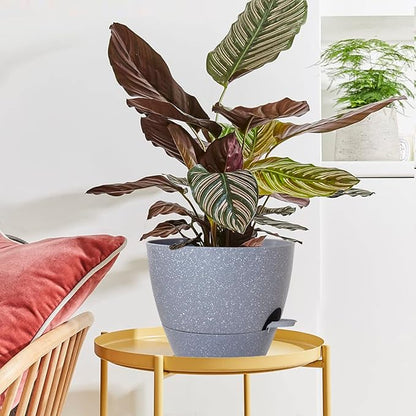10 inch Self Watering Planters, 2 Pack Large Plastic Plant Pots with Deep Reservior and High Drainage Holes for Indoor Outdoor Plants and Flowers, Speckled Grey