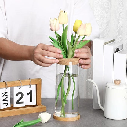 Maxcheck 3 Pcs 3 Sizes Plant Propagation Station Separated Glass Plant Terrarium Water Hydroponic Planter Holder with Lid and Wooden Stand Propagation Vase Pot for Home Indoor Office(Various Sizes)