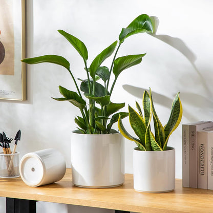 vancasso 8 Inch Ceramic Pot for Plants, Round Outdoor Indoor Planter Pots with Drainage Holes, White