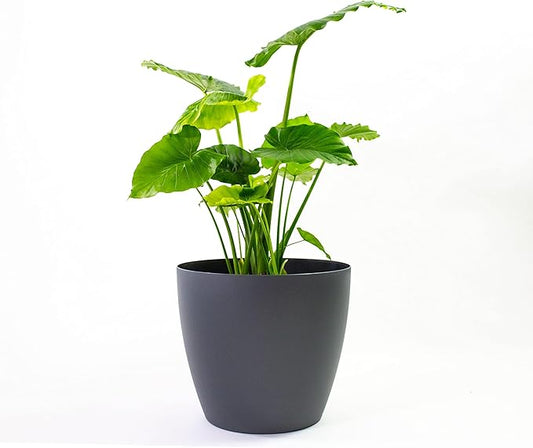 Memphis 13" Round Indoor Floor Planter Pot – Lightweight & Durable Plastic, Modern Design, Made in USA, Recyclable Large Plant Container for Home & Office Décor (Charcoal Meta