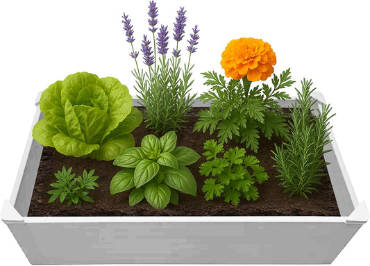 Raised Garden Bed - 2x4 ft Planter Box - White HDPE - No Tools Needed - DIY Kit for Urban Gardening, Flowers, Herbs & Vegetables - Made in The USA