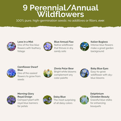 Eden Brothers Blue Ribbon Flower Mixed Seeds for Planting, 1/4 lb, 120,000+ Seeds with Blue Bell, Cornflower Blue, Chicory, Attracts Pollinators, Plant in Spring or Fall, Zones 3, 4, 5, 6, 7, 8, 9, 10