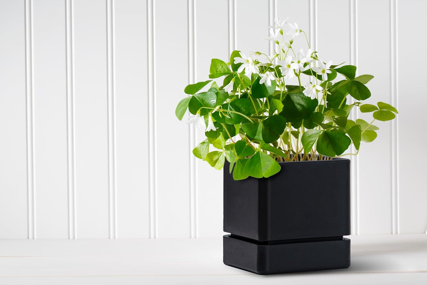 4 Inch Herb Planter Pot, Plastic Planter with Drainage Holes and Saucer, Modern Decorative Gardening Pot for Indoor Plants, Flowers, Herbs, Succulents, Black, Set of 1, 76-Y-B-1