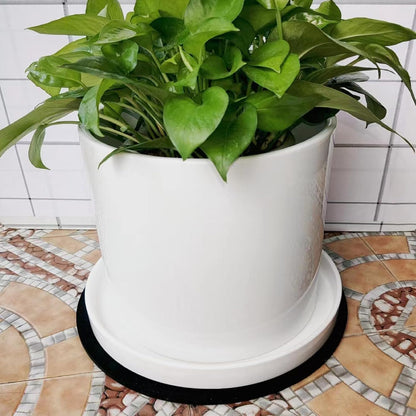 Ceramic Plant Saucer Pot Tray 10 Inch, Planter Saucers 4 5 6 7 8 9 10 11 12 13 Inch for Indoors Outdoor, Durable Sturdy Flower Drainage drip Water Tray for Glazed Pots Base (10.7 Inch-White)
