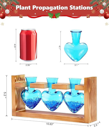 Nacome Plant Terrarium Propagation Stations: Birthday Gifts for Plant Lovers Women Mom Wife - Wooden Stand Tabletop Planter 3 Bulb Glass Vase Heart Shaped for Hydroponics Indoor Home