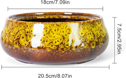 ARTKETTY Succulent Pots - 8 Inch Plant Pot, Large Bonsai Pots with Drainage, Ceramic Planters for Indoor Outdoor Plants, Round Shallow Cactus Flower Plant Container Bowl Decorative Home Garden