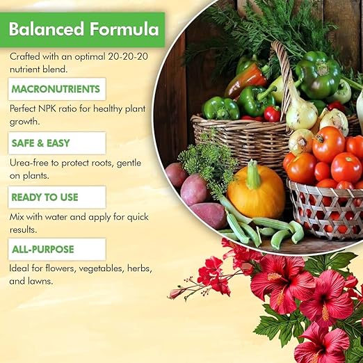 EZ-GRO 20 20 20 All Purpose Fertilizer - All Purpose Liquid Plant Food - Lawn, Flowers, Herbs, Vegetables - Best Way to Grow Healthy Plants - Garden-Growing Miracle Nutrients - 1 Qt / 32 fl oz