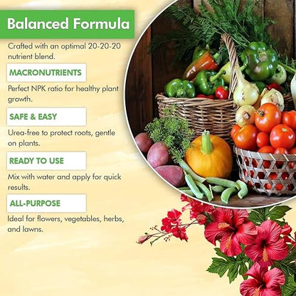 EZ-GRO 20 20 20 All Purpose Fertilizer - All Purpose Liquid Plant Food - Lawn, Flowers, Herbs, Vegetables - Best Way to Grow Healthy Plants - Garden-Growing Miracle Nutrients - 1 Qt / 32 fl oz