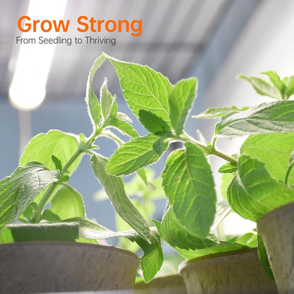 Indoor Greenhouse with Grow Light, Mini Green House with 4 Pack 20W Full Spectrum Plant Lights with Timer, Plant Shelf with Tent for Indoor Plant, Seed Starting, Seed Tray, 27.2"x19.9"x61.8"