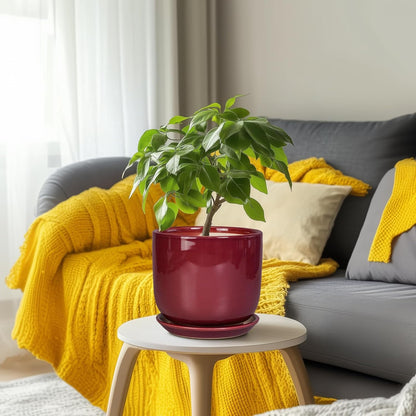 Ceramic Flower Pot for Plants - Cylinder Modern 8 Inch Plant Pot Indoor with Drainage Hole and Saucer, Home Office Room Porch Decor, Red