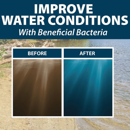 Airmax Pond Dye Plus, Twilight Blue Colorant & Natural Beneficial Bacteria, Large Pond & Lake Water Clarifier & Color Treatment, Shade Plants & Algae from Sunlight, Fish & Livestock Safe, 4 Gallons