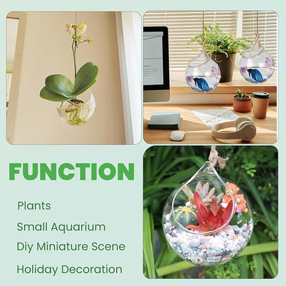 Propagation Station, Plants Terrarium, Plants Lover Gifts for Women,Plant Cutting Holder Home décor,Gifts for Women,House Warming New Home-3 Globe Shape