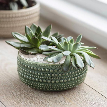 15lbs White Rocks, 3/8 Inch Small White Pebbles for Plants, Vase, Garden, Decorative Pea Gravel for Landscaping, Polished