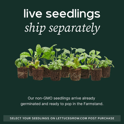 Farmstand Starter Kit with Glow Rings and 36 Seedling Credits | Large Hydroponic Growing System Kit | Vertical Garden Planter Tower | 6ft 7in Tall