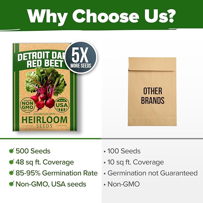 HOME GROWN 𝗨𝗦𝗔 𝗣𝗥𝗘𝗠𝗜𝗨𝗠 Detroit Dark Red Beet Seeds Pack - 500 Heirloom 𝗡𝗢𝗡-𝗚𝗠𝗢 Vegetable Seeds for Planting - Red Beet for Home Garden – High Germination(Beta vulgaris)