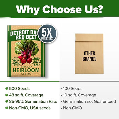 HOME GROWN 𝗨𝗦𝗔 𝗣𝗥𝗘𝗠𝗜𝗨𝗠 Detroit Dark Red Beet Seeds Pack - 500 Heirloom 𝗡𝗢𝗡-𝗚𝗠𝗢 Vegetable Seeds for Planting - Red Beet for Home Garden – High Germination(Beta vulgaris)