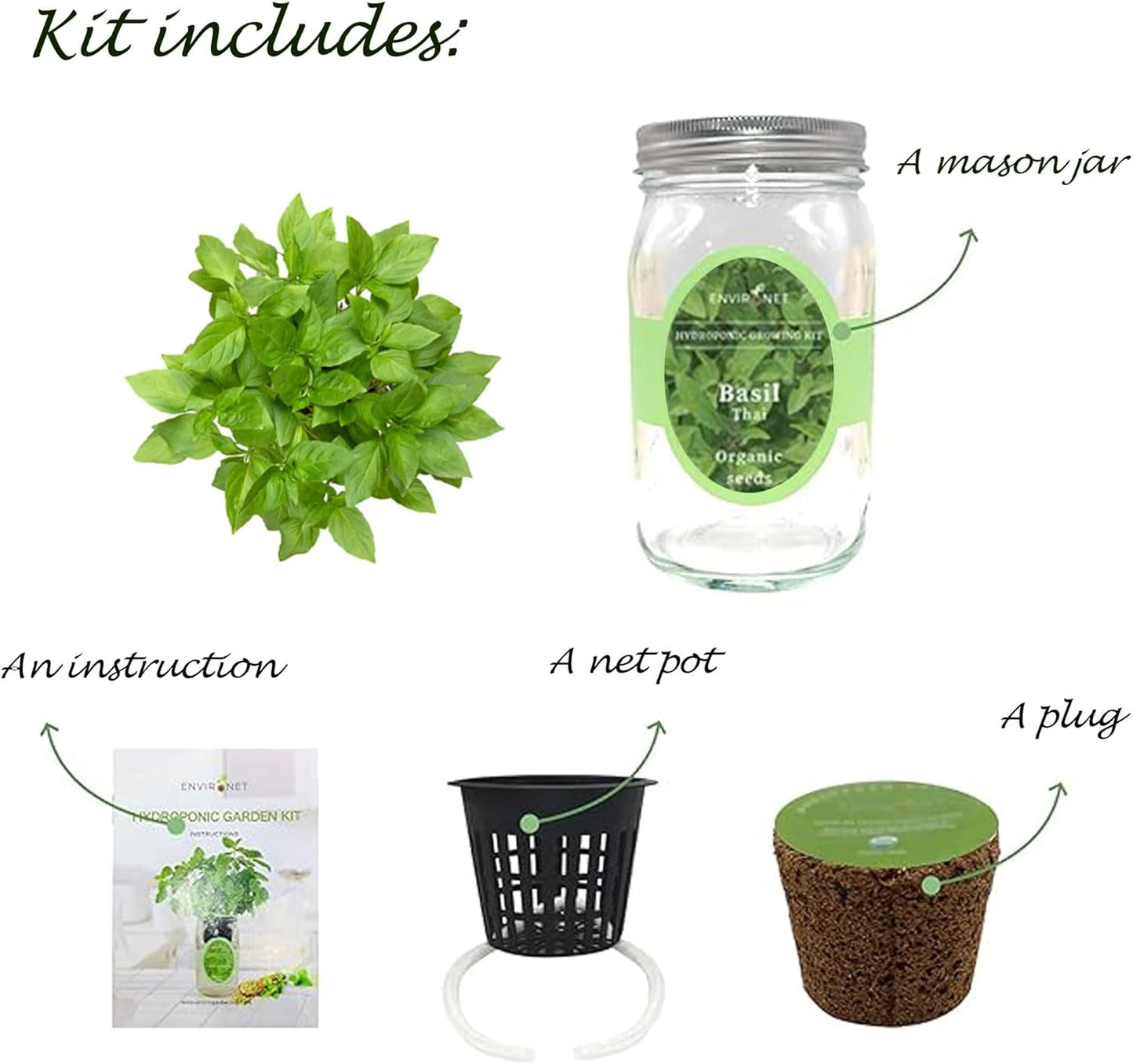 Hydroponic Herb Growing Kit, Self-Watering Mason Jar Herb Garden Starter Kit Indoor, Windowsill Herbs Garden, Grow Your Own Herbs from Organic Seeds (Thai Basil)