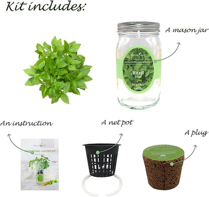 Hydroponic Herb Growing Kit, Self-Watering Mason Jar Herb Garden Starter Kit Indoor, Windowsill Herbs Garden, Grow Your Own Herbs from Organic Seeds (Thai Basil)