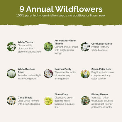 Eden Brothers Green with Envy Flower Mixed Seeds for Planting, 1/4 lb, 120,000+ Seeds with White Yarrow, Cornflower White | Attracts Pollinators, Plant in Spring or Fall, Zones 3, 4, 5, 6, 7, 8, 9, 10