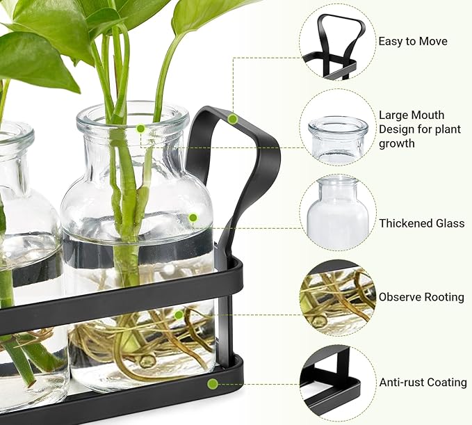 Mkono Propagation Stations with Metal Stand, Desktop Plant Terrarium Glass Planter Vase for Hydroponic Plants Flower Cutting Home Office Garden Decor Plant Lover Gifts, 3 Jars