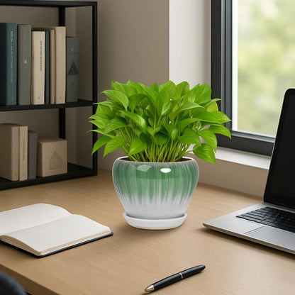 Deep Dream 6 Inch Plant Pots- Ceramic Planter Pot with Drainage Hole and Saucer, Round Flower Pot for Indoor Outdoor Succulent, Snake Plants and Cactus, White&Green