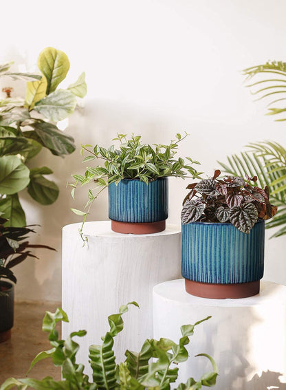 LE TAUCI Ceramic Plant Pots with Drainage Holes, Set of 3, 8+6.7+5.5 Inch Stripe Garden Planter Pots for Outdoor Indoor Plants Flower, Round Succulent Orchid Flower Pot, Reactive Glaze Green