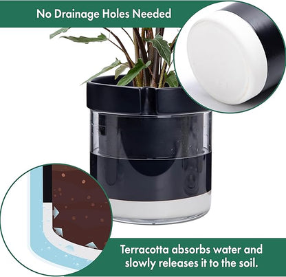 Phoenix Vine 8 Inch Self Watering Terracotta Planter, Black Terracotta Clay Pot with Glass Reservoir for Indoor Plants, Herbs, Flowers, Set of 1, 52-C-H-1