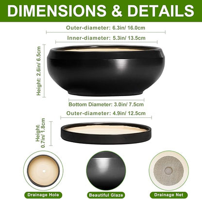 Bonsai Tree Pots Small - 6 Inch Ceramic Succulent Pots for Indoor Plants Outdoor, Round Planter with Drainage Hole and Saucer, Shallow Planter Bowl, Bathroom Decor, House Warming Gift, Black