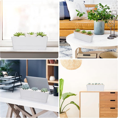 GREANER Flower Boxes, 3 Pack 12x3.8 Inch Rectangle Window Boxes, Herb Planters with Tray, Indoor Succulent Cactus Flowers Plastic Drawable Pot for Windowsill, Garden, Balcony, Office Outdoor (White)