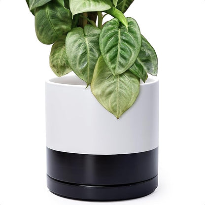 D'vine Dev 12 Inch Ceramic Planter Pot with Drainage Hole and Saucer, Indoor Cylinder Round Planter Pot, Layered Monochrome Black & White, 94-O-F-L