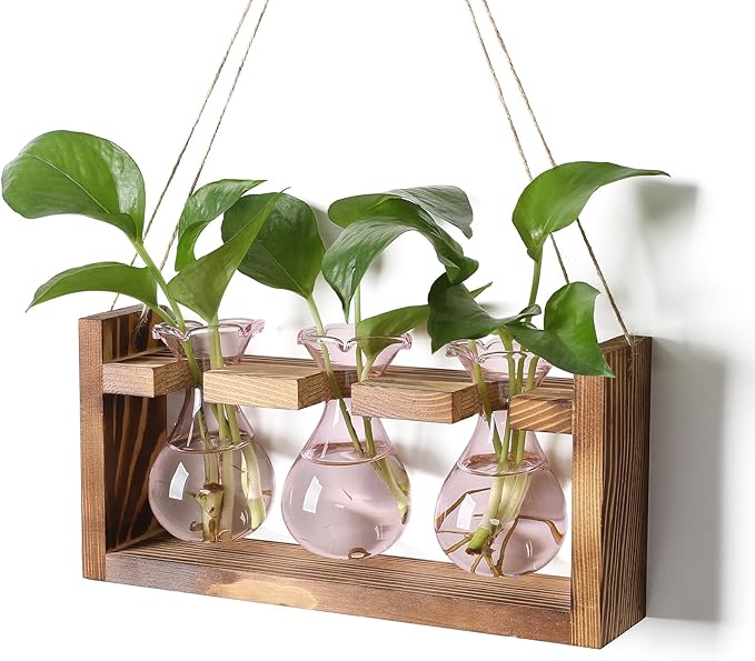 Plant Propagation Station Plant Terrarium Unique Birthday Gifts for Women Home Office Decor Planter with Wooden Stand - 3 Bulb Glass Vase